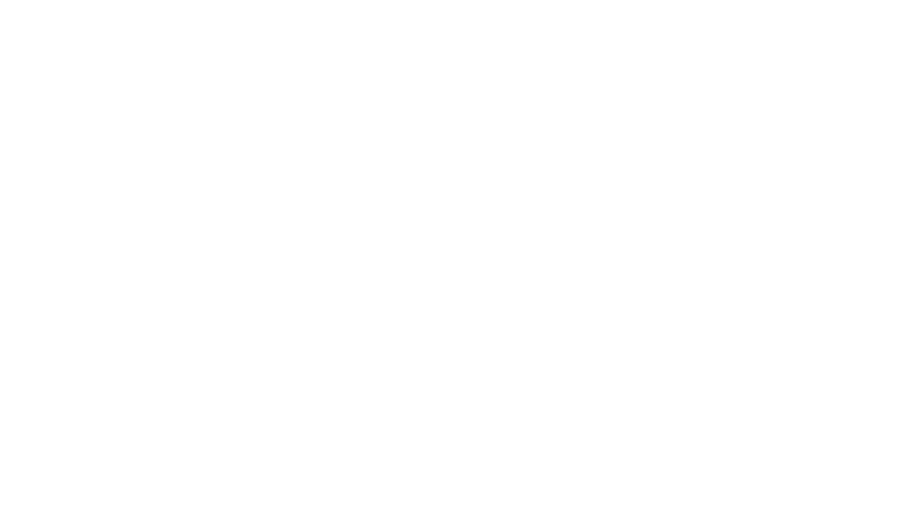zentora logo beyaz